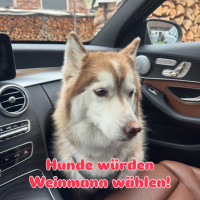 2026-03-07 Infostand 7