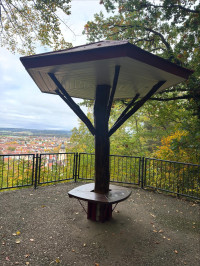 2025-11-02 Andreas Weinmann auf dem Weinberg 2