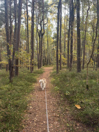 2025-11-02 Andreas Weinmann auf dem Weinberg 4