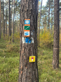 2025-11-02 Andreas Weinmann auf dem Weinberg 6