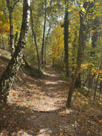 2025-11-02 Andreas Weinmann auf dem Weinberg 8
