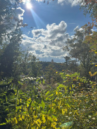 2025-11-02 Andreas Weinmann auf dem Weinberg 9