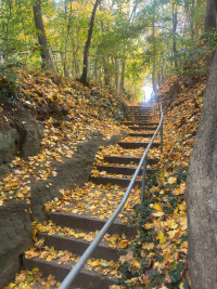 2025-11-02 Andreas Weinmann auf dem Weinberg 12