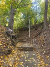 2025-11-02 Andreas Weinmann auf dem Weinberg 13