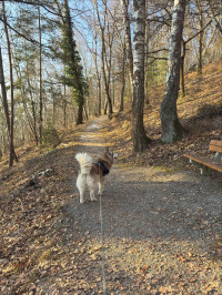 2026-01-2026 Andreas Weinmann Schönwetter-Wahlkampf 7