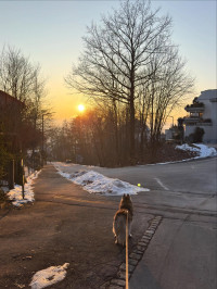 2026-01-2026 Andreas Weinmann Schönwetter-Wahlkampf 8