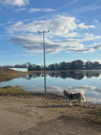 2026-02-25 Andreas Weinmann Hochwasserschutz 3