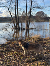 2026-02-25 Andreas Weinmann Hochwasserschutz 7