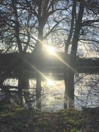 2026-02-25 Andreas Weinmann Hochwasserschutz 8