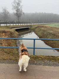 2026-02-25 Andreas Weinmann Hochwasserschutz 12