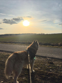 2026-02-28 Andreas Weinmann Wahlkampfendspurt 4