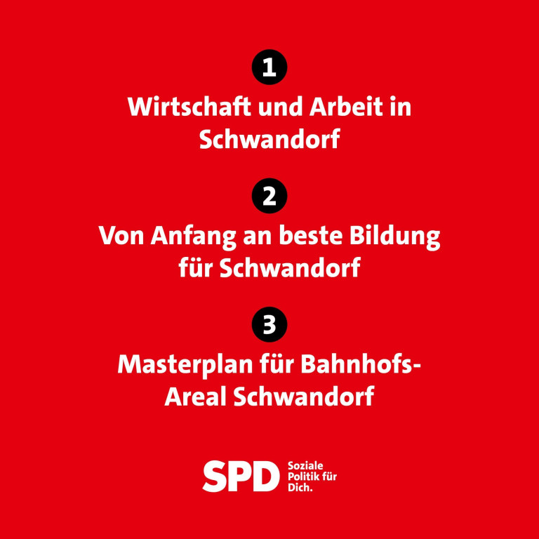 2025-10-31 Wahlprogramm Veröffentlichung 2
