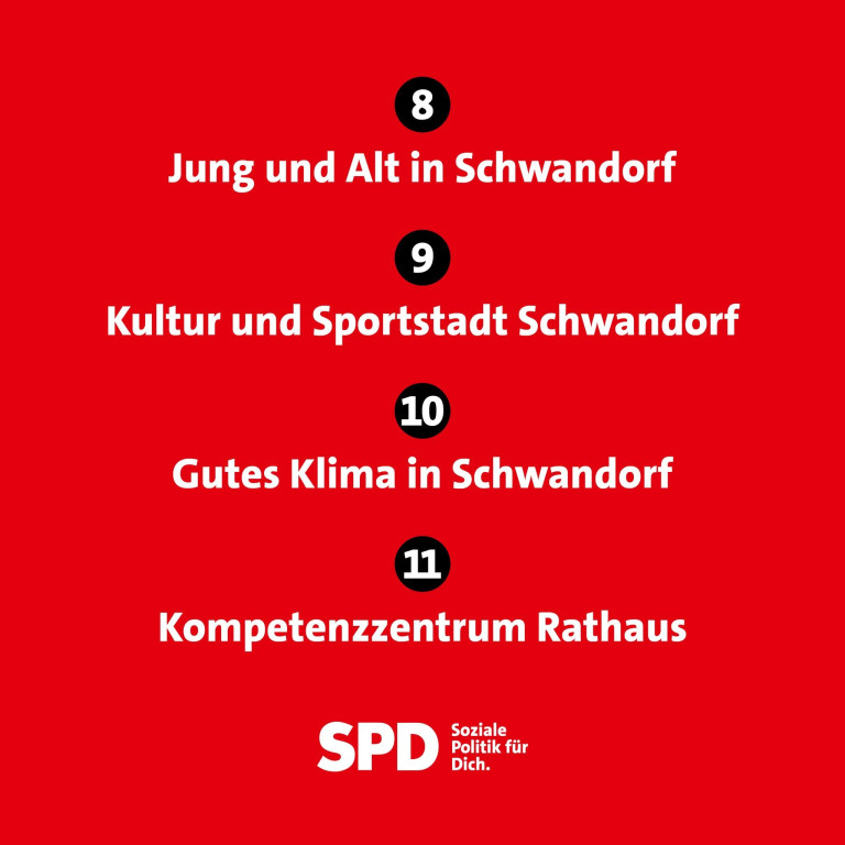 2025-10-31 Wahlprogramm Veröffentlichung 4